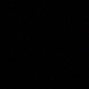 Meet your Posher, Ann